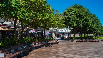 Seating under the tree canopy are provided for visitors to sit down, relax and enjoy the sea view. The dense canopy ensures adequate shade during the hot summer days.